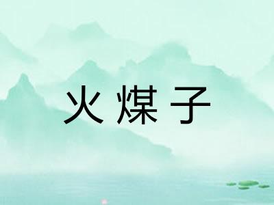 火煤子