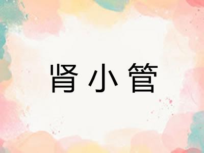 肾小管
