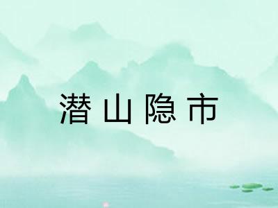 潜山隐市