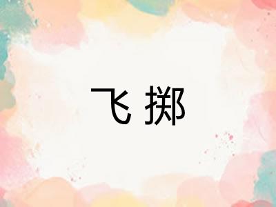 飞掷