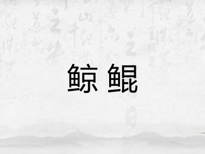 鲸鲲