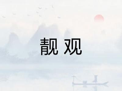 靓观