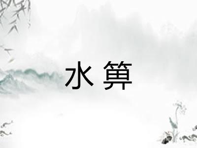 水箅