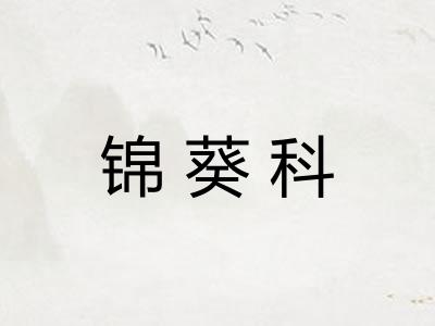 锦葵科