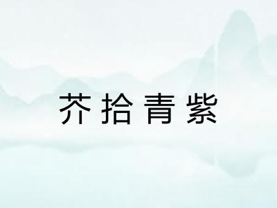 芥拾青紫