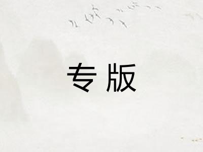 专版