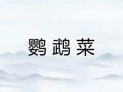 鹦鹉菜