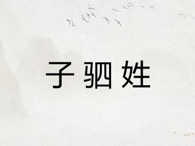 子驷姓