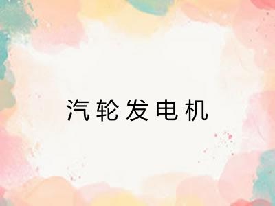 汽轮发电机
