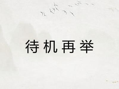 待机再举