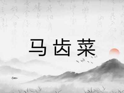 马齿菜