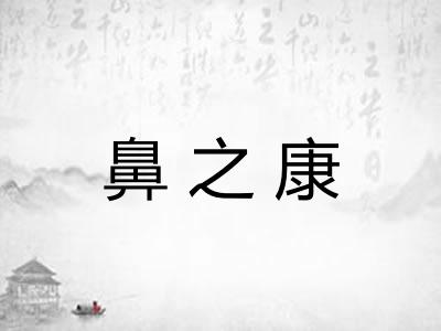 鼻之康