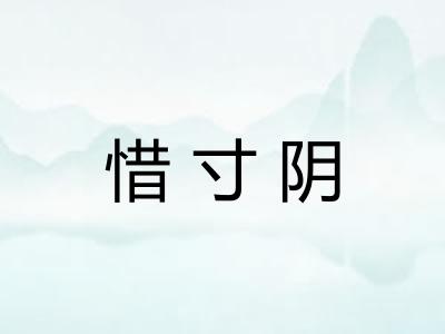 惜寸阴