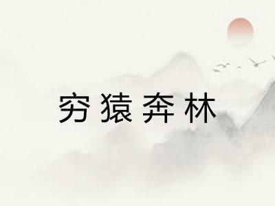 穷猿奔林