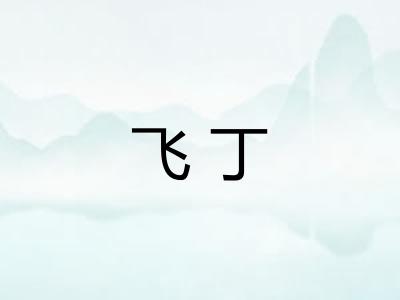 飞丁