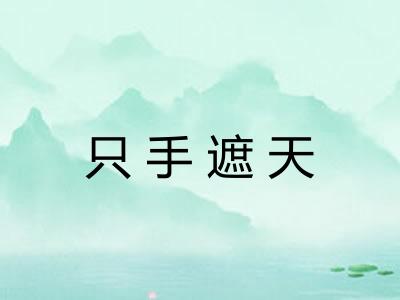 只手遮天