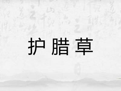 护腊草