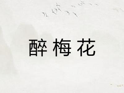 醉梅花