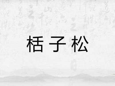 栝子松