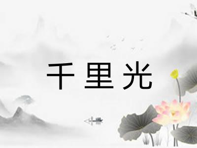 千里光