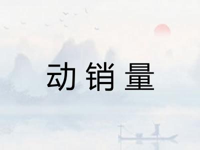 动销量