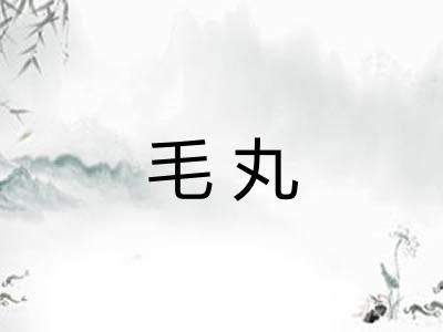 毛丸