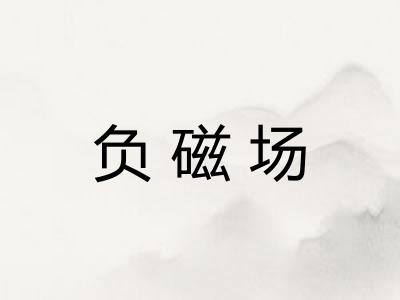 负磁场