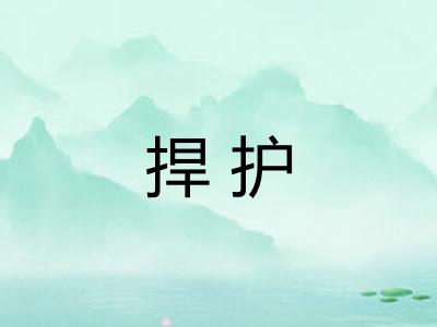 捍护