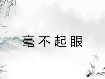 毫不起眼