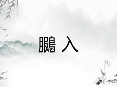 鵩入