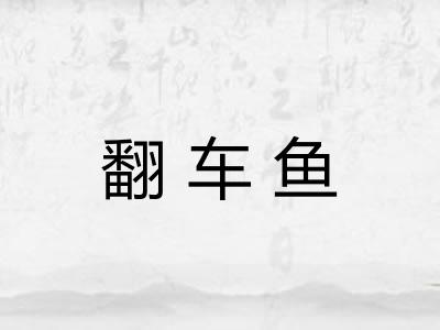 翻车鱼