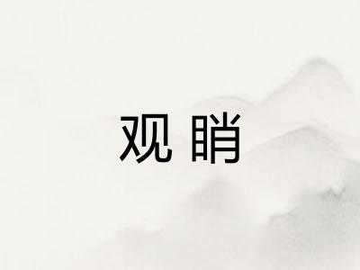观睄