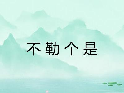 不勒个是