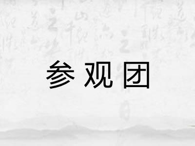 参观团