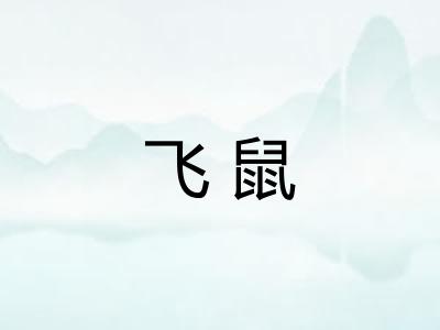 飞鼠