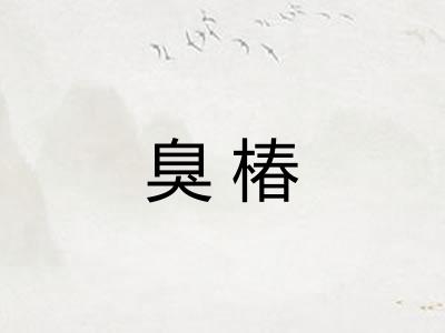 臭椿