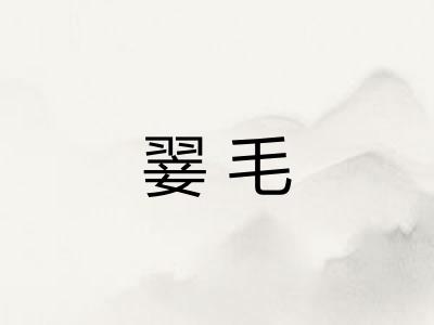 翣毛