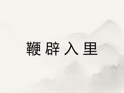 鞭辟入里