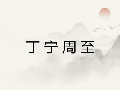 丁宁周至