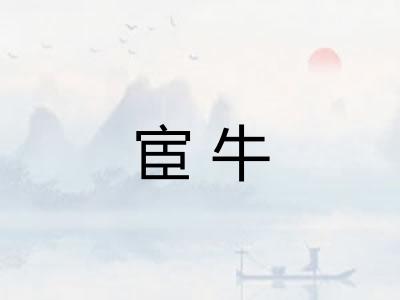 宦牛