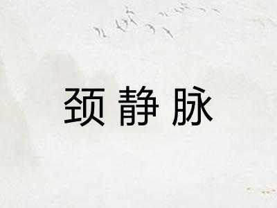 颈静脉