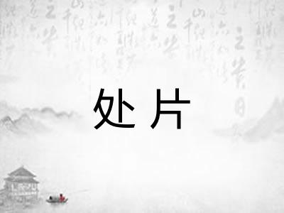 处片