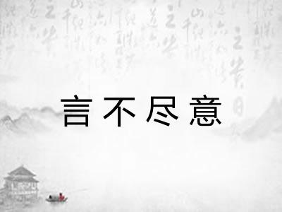 言不尽意