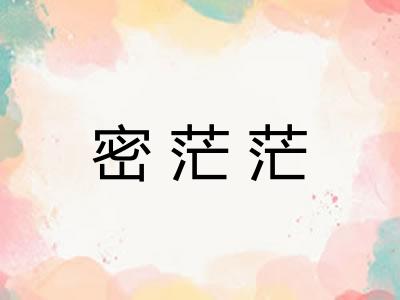 密茫茫
