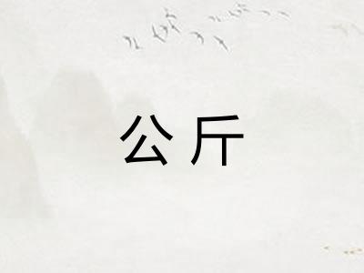 公斤