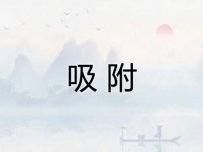 吸附