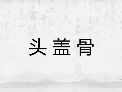 头盖骨