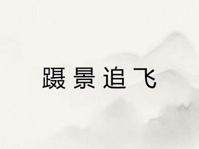 蹑景追飞
