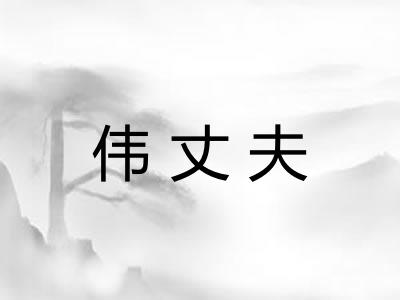 伟丈夫