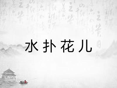水扑花儿